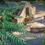 Podere San Filippo Bed and Breakfast Bibbona