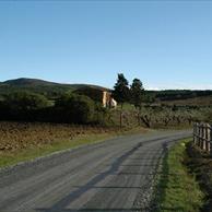 Bibbona Turismo