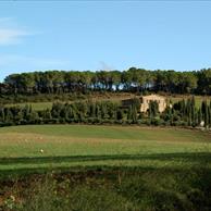 Bibbona Turismo