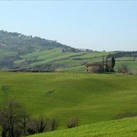 Bibbona Turismo