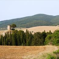 Bibbona Turismo
