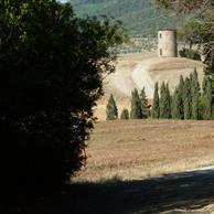 Bibbona Turismo