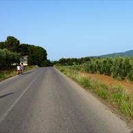 Bibbona Turismo