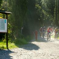 Bibbona Turismo