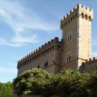 Bolgheri
