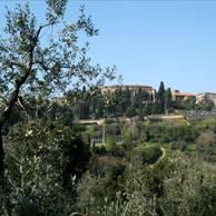 Castagneto Carducci