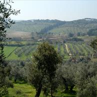 Castagneto Carducci