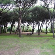 Marina di Bibbona