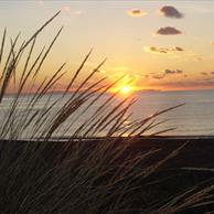 Marina di Bibbona