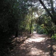 Marina di Bibbona