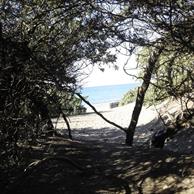 Marina di Bibbona