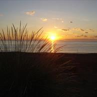 Marina di Bibbona
